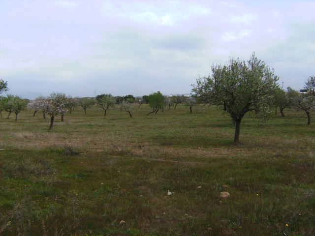 foto fachada