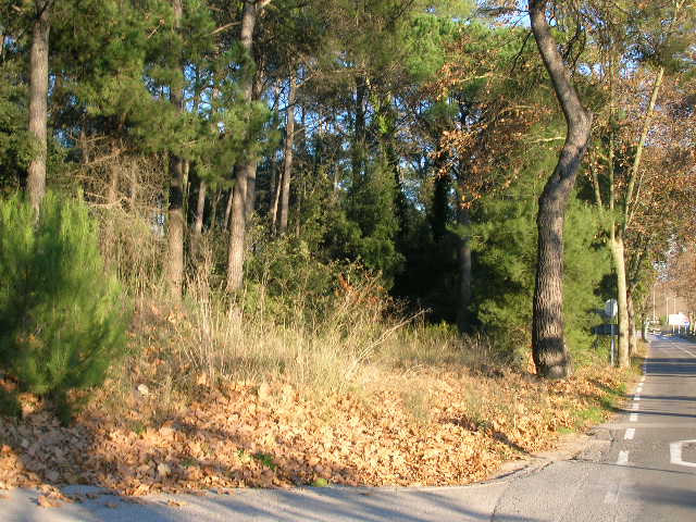 foto fachada