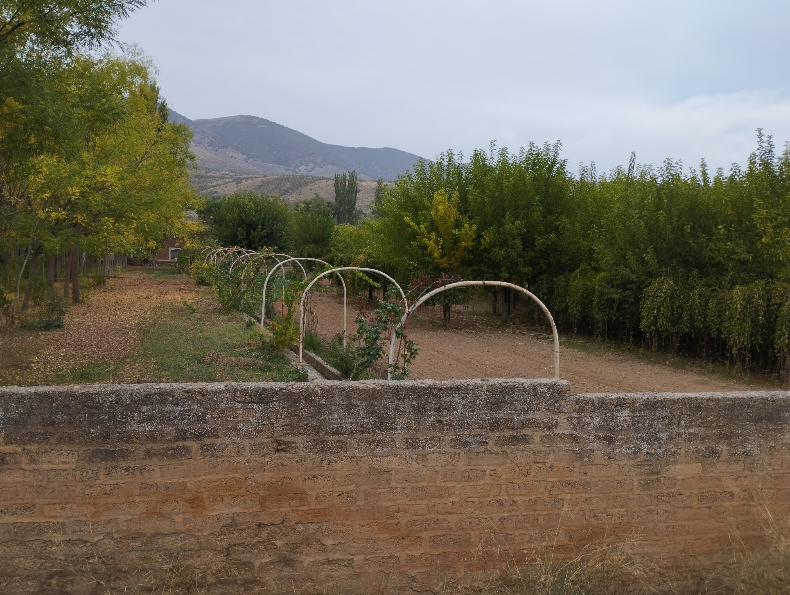 Foto finca 2907