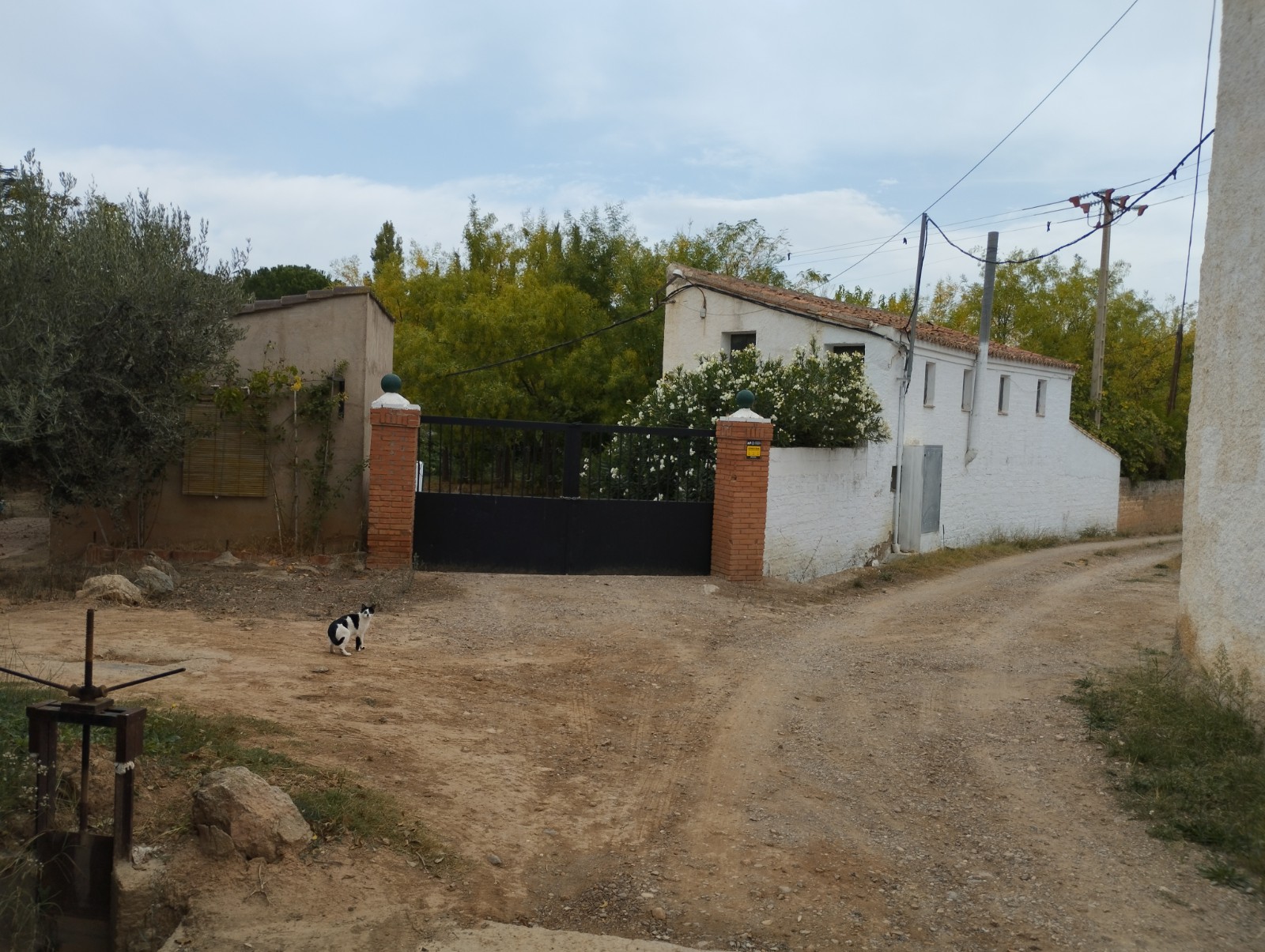 Foto finca 2907