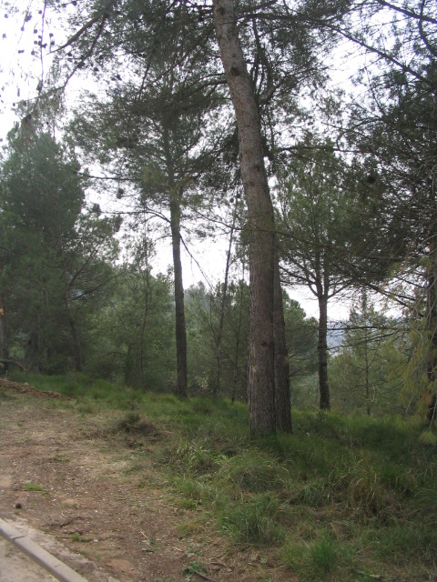foto fachada