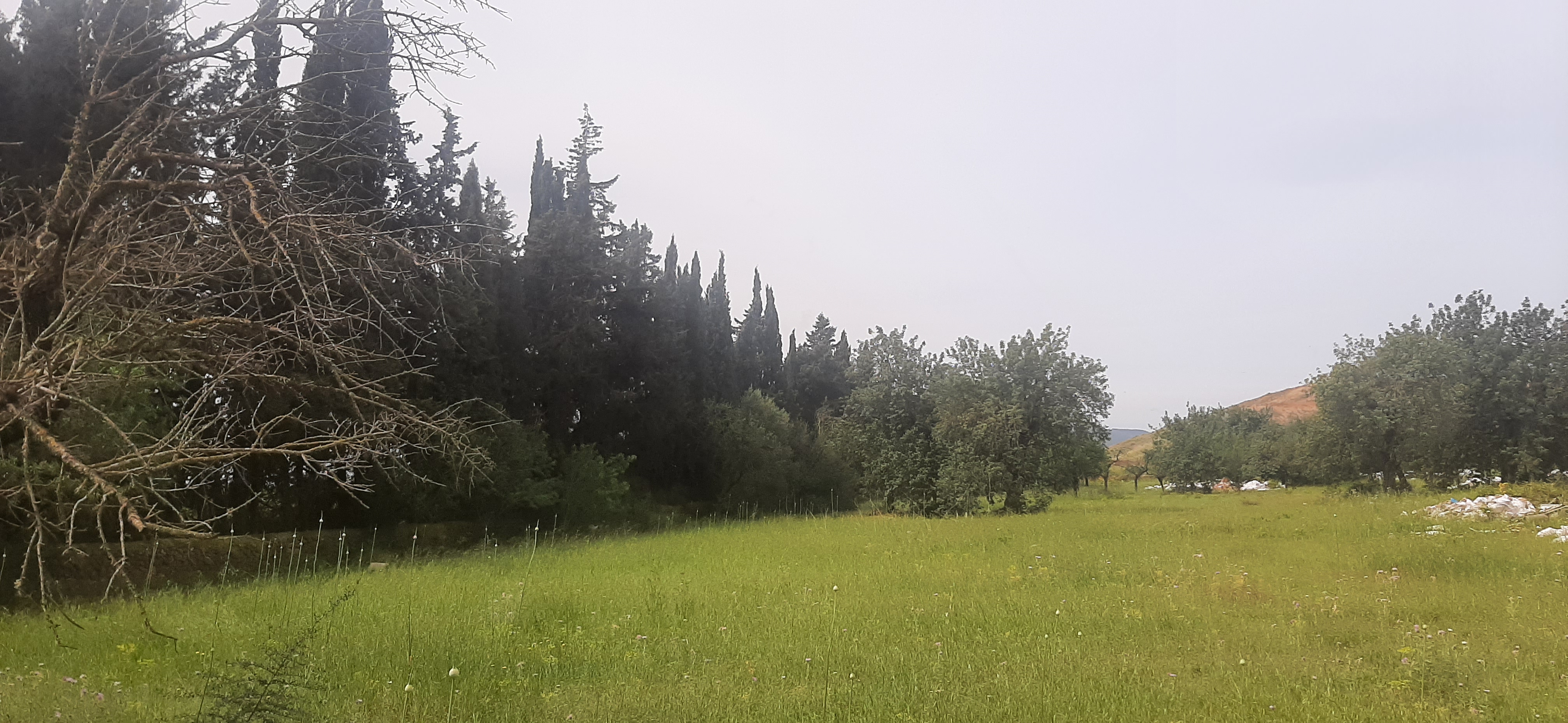 Fotografía 6: Esquina linderos izquierda y fondo