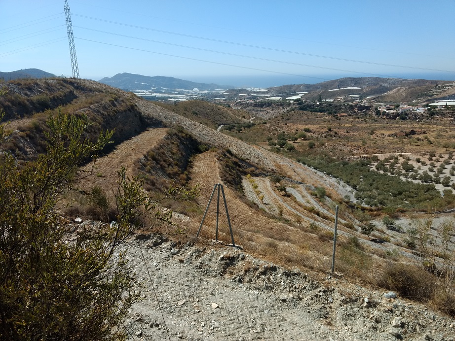 Campo cultivado-3