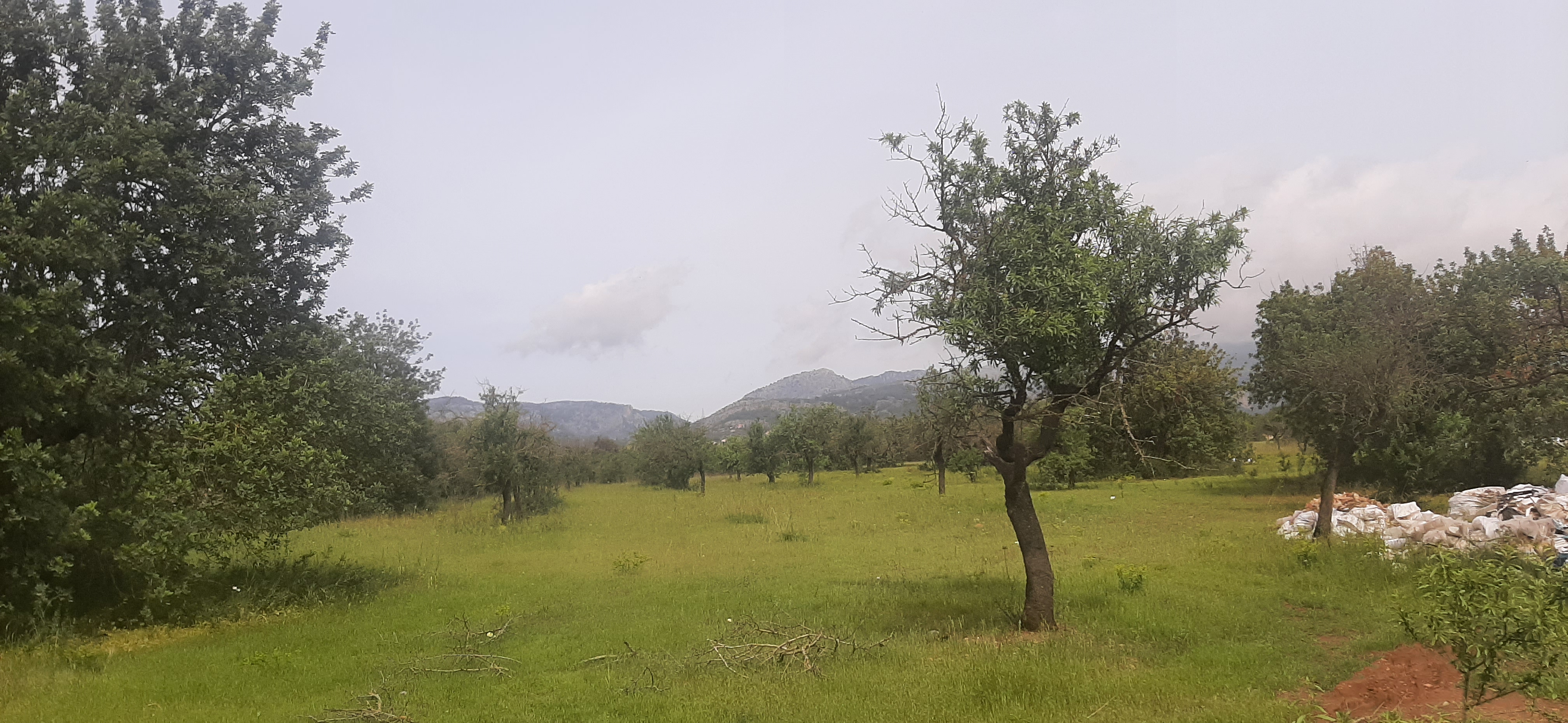 Fotografía 3: Lindero fondo-vista total rustica