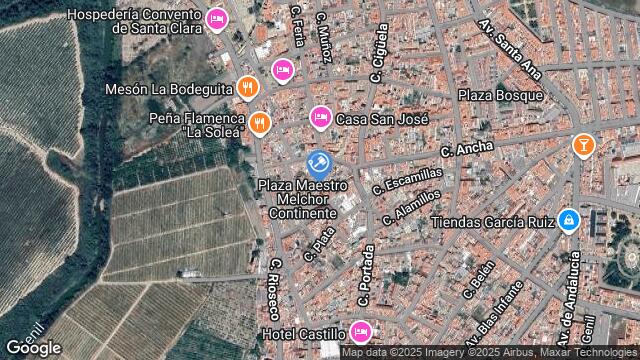 Ubicación de la subastas Subasta de cl manga de gabÁn, ( palma del rÍo) en PALMA DEL RÍO