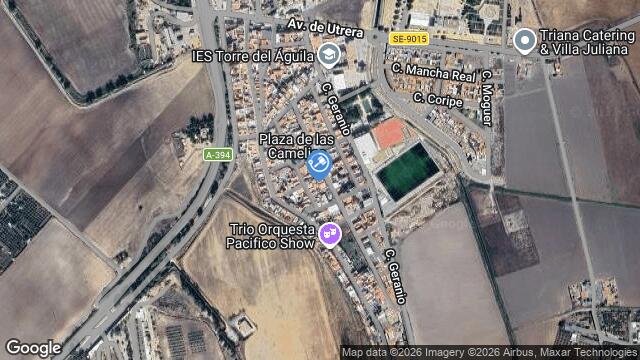 Ubicación de la subastas Subasta de vivienda en EL PALMAR DE TROYA.