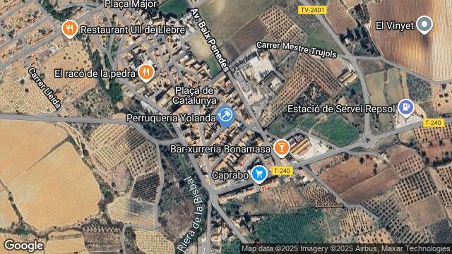 Ubicación de la subastas Subasta de vivienda en La Bisbal del Penedès