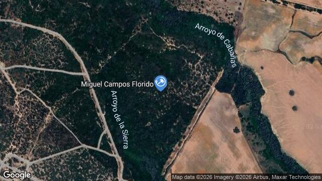 Ubicación de la subastas Subasta de zz pago alcantarilla en Cádiz