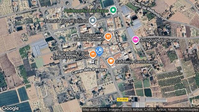 Ubicación de la subastas Subasta de finca rústica en ELX/ELCHE