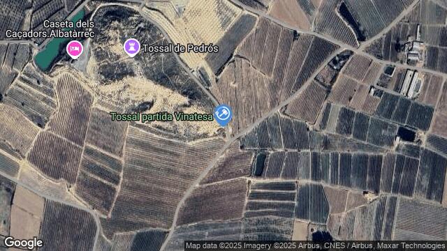 Ubicación de la subastas Subasta de finca rústica en Lleida