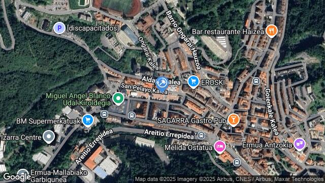 Ubicación de la subastas Subasta de vivienda en ERMUA