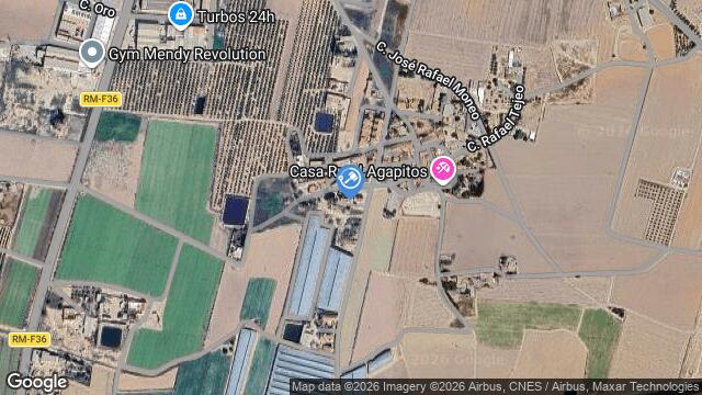 Ubicación de la subastas Subasta de partido de campana  ( el albardinal - murcia) en MURCIA