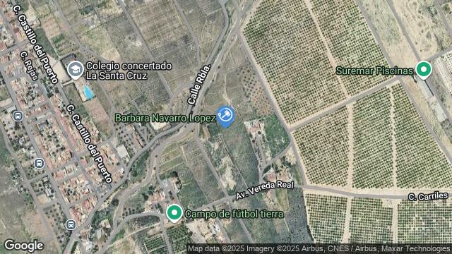 Ubicación de la subastas Subasta de finca rústica en Murcia