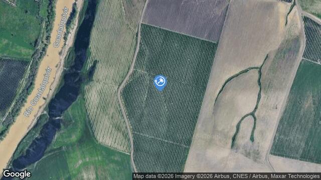 Ubicación de la subastas Subasta de vivienda en CORDOBA