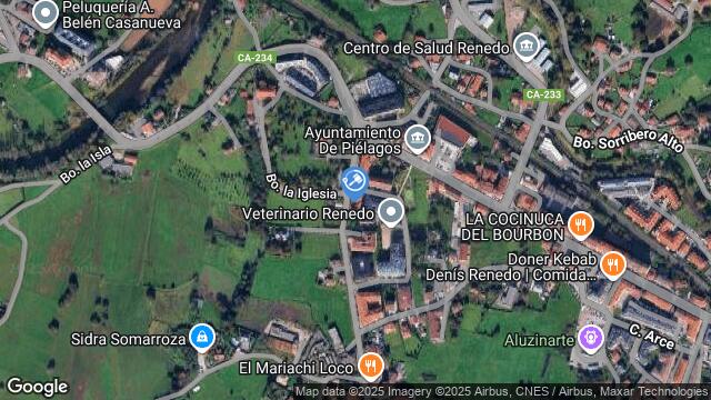 Ubicación de la subastas Subasta de otros en RENEDO DE PIELAGOS