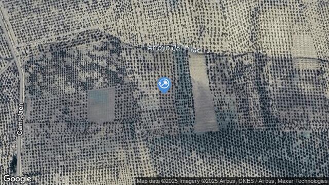 Ubicación de la subastas Subasta de finca rústica en CAZALILLA