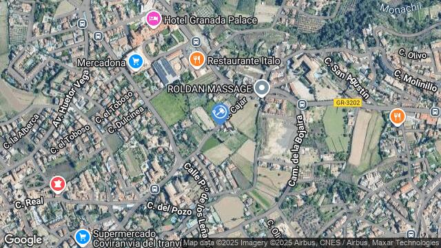 Ubicación de la subastas Subasta de vivienda en MONACHIL