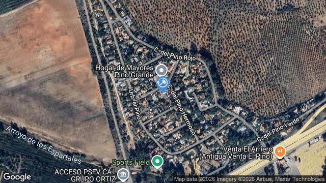 Ubicación de la subastas Subasta de ur pino grande ( carmona) en CARMONA