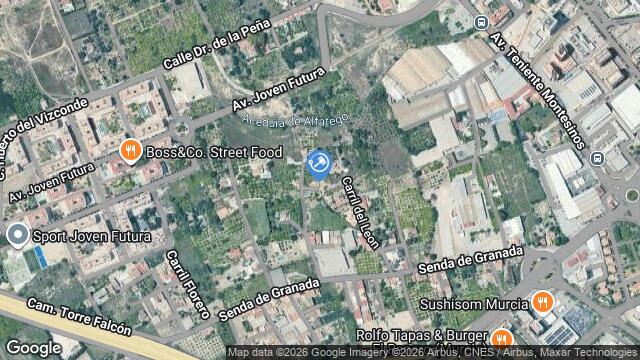 Ubicación de la subastas Subasta de finca nº 8269 sec. 8ª  ( la albatalia. murcia - tierra riego moreral aceq. benda) en TIERRA RIEGO MORERAL ACEQ. BENDA