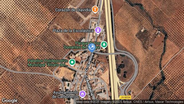 Ubicación de la subastas Subasta de otros en CARBONEROS