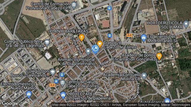 Ubicación de la subastas Subasta de vivienda en Murcia