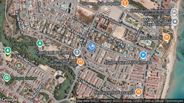 Ubicación de la subastas Subasta de ur mil palmeras en Alicante