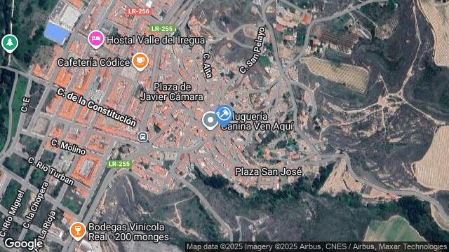 Ubicación de la subastas Subasta de finca rústica en ALBELDA DE IREGUA