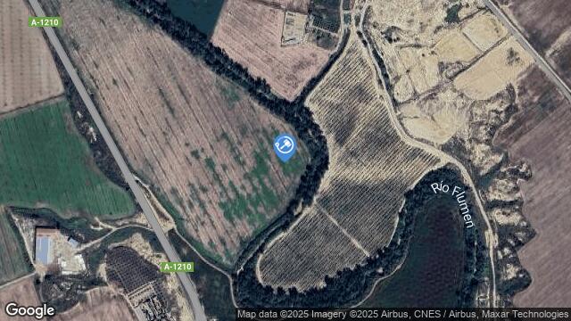 Ubicación de la subastas Subasta de finca rústica en Viñas. Lalueza