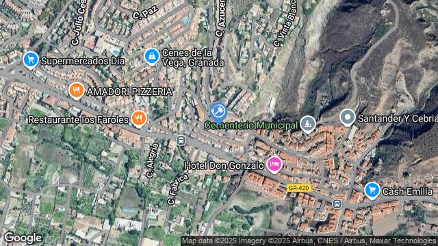 Ubicación de la subastas Subasta de vivienda en CENES DE LA VEGA