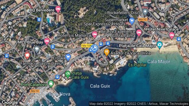 Ubicación de la subastas Subasta de local comercial en PALMA DE MALLORCA