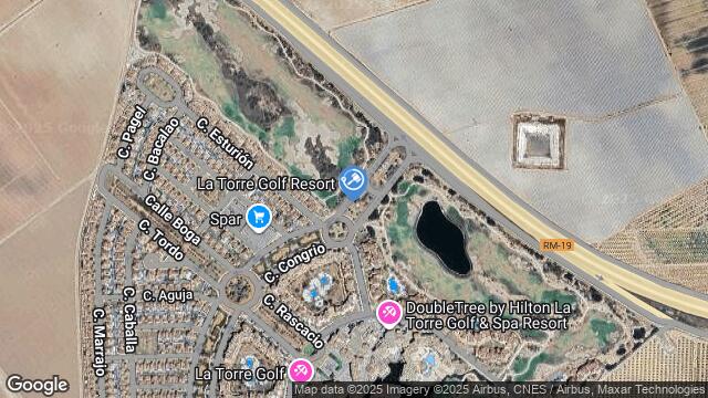 Ubicación de la subastas Subasta de vivienda en TORRE PACHECO