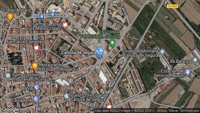 Ubicación de la subastas Subasta de vivienda en CALLOSA DE SEGURA