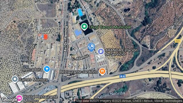 Ubicación de la subastas Subasta de vivienda en MONTORO