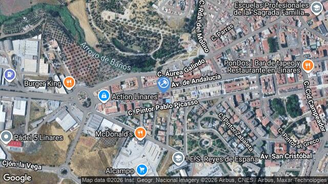 Ubicación de la subastas Subasta de cl mina el fastillo ( linares) en LINARES