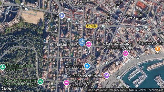 Ubicación de la subastas Subasta de cl enric juncosa i iglesias ( palma de mallorca) en PALMA DE MALLORCA