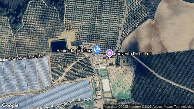 Ubicación de la subastas Subasta de finca rústica en LUCENA DEL PUERTO