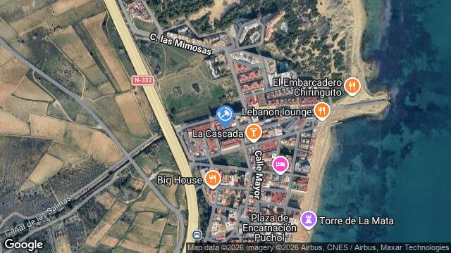 Ubicación de la subastas Subasta de cl antonio gil ( torrevieja) en TORREVIEJA