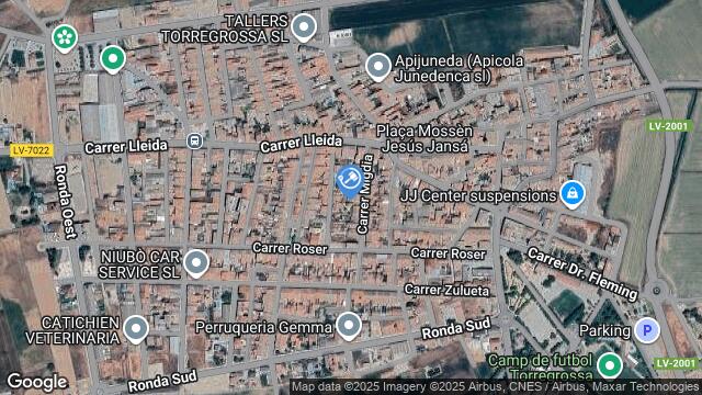 Ubicación de la subastas Subasta de pda.barranch  ( lleida - lleida) en LLEIDA