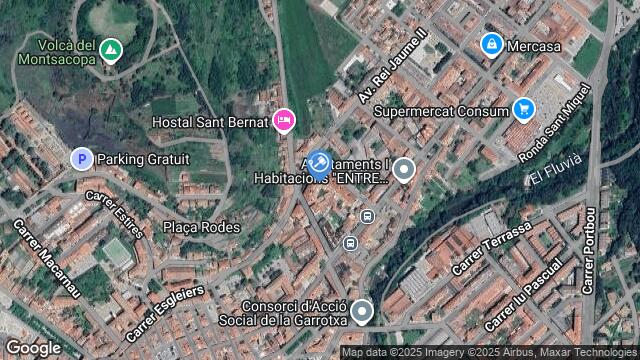 Ubicación de la subastas Subasta de otros en Olot