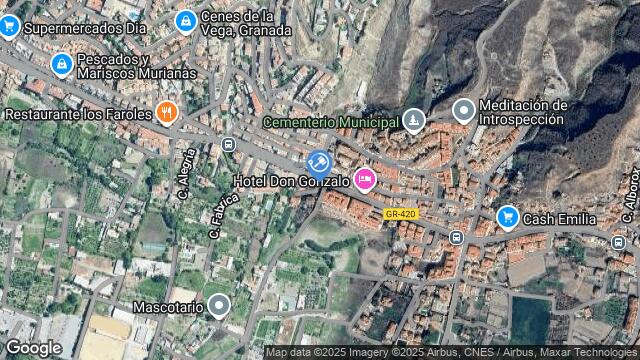 Ubicación de la subastas Subasta de otros en CENES DE LA VEGA