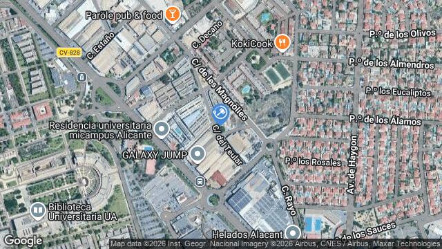 Ubicación de la subastas Subasta de solar en S VICENT DEL RASPEIG-S VICENTE DEL
