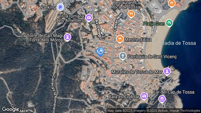 Ubicación de la subastas Subasta de vivienda en Tossa de Mar