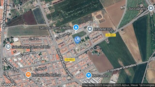 Ubicación de la subastas Subasta de solar en PALMA DEL RIO