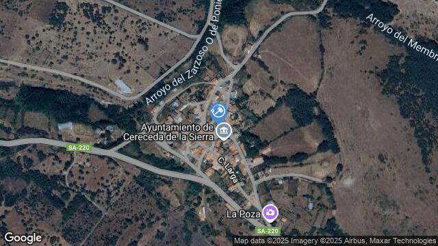 Ubicación de la subastas Subasta de finca rústica en CERECEDA DE LA SIERRA