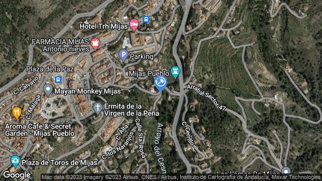 Ubicación de la subastas Subasta de vivienda en MIJAS