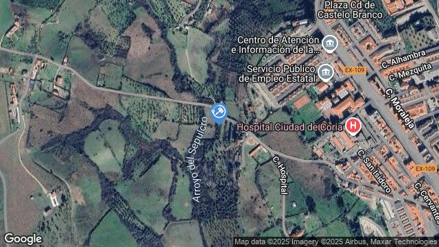 Ubicación de la subastas Subasta de finca rústica en CORIA