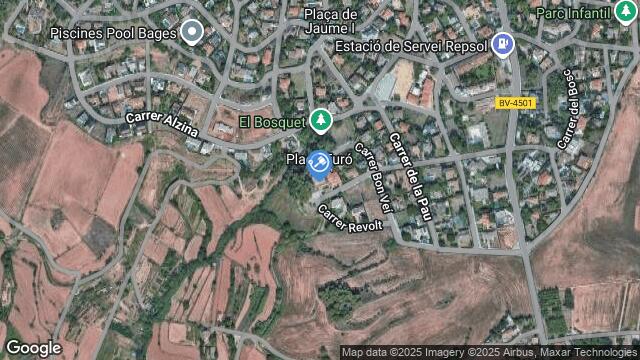 Ubicación de la subastas Subasta de vivienda en Sant Fruitós de Bages