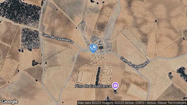 Ubicación de la subastas Subasta de finca rústica en Ledaña