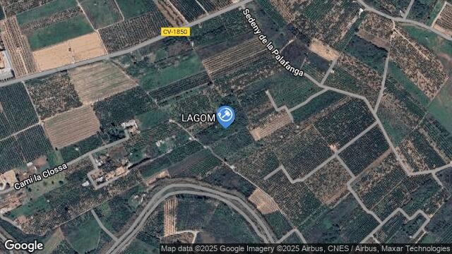 Ubicación de la subastas Subasta de finca rústica en BORRIANA/BURRIANA