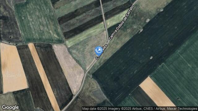 Ubicación de la subastas Subasta de finca rústica en COBOS DE CERRATO